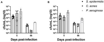 Bacteria commonly associated with central nervous system catheter infections elicit distinct CSF proteome signatures